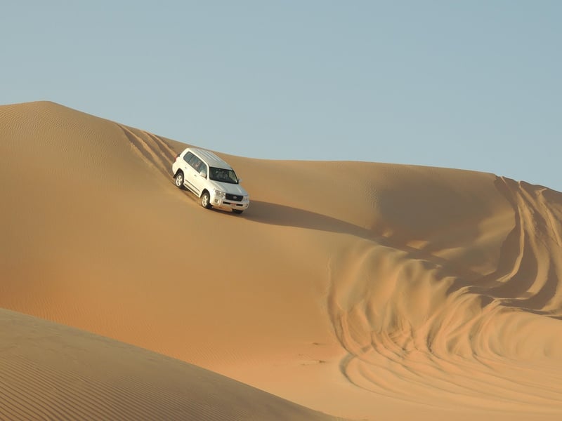 Desert Safari